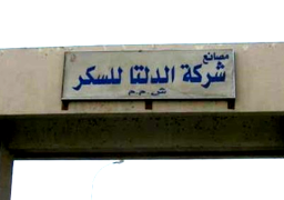 الدلتا للسكر ” تنجح فى تصدير 80 ألف طن “مولاس” للخارج