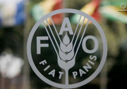 فاو: أسعار الغذاء العالمية استقرت فى سبتمبر