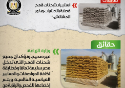 الزراعة: جميع شحنات القمح التي تدخل مصر سليمة