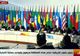 السيسي يوجه التهنئة لرئيس وزراء اثيوبيا بمناسبة حصوله على جائزة نوبل