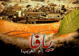 غدا..عرض الفيلم الفلسطيني “يافا أم الغريب” بمركز إبداع الإسكندرية