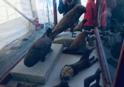 وزيري: اكتشاف سقارة الجديد يحتوي على أكبر جعران في العالم |صور