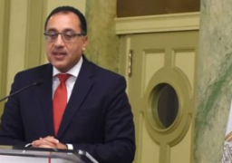 الحكومة: فتح الإجازات للمصريين العاملين بالخارج التابعين لقطاع الكهرباء