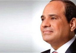 الرئيس السيسى يخصص أراض لإقامة تجمعات تنموية ومحطتى كهرباء بسيناء والسويس