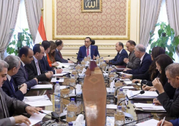 رئيس الوزراء يُتابع نشاط الشركات التي تم تأسيسها لتذليل العقبات التي تواجهها