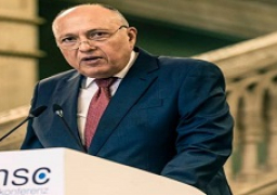 شكري: مبادرة شراكة مجموعة الـ20 مع إفريقيا رفعت حجم الاستثمارات