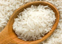 الاعلان عن أول مناقصة لتوريد الأرز المحلي خلال “2019 – 2020”