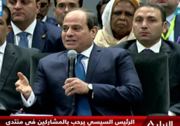 بالفيديو : الرئيس السيسي: نعيد صياغة الدولة المصرية وميكنة كاملة لقواعد البيانات