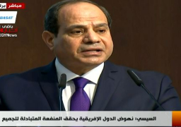 السيسي: التقييم الأمين لعلاقاتنا ببرلين يجعلها نموذجا للمنفعة المتبادلة