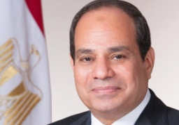 السيسي: دخول اتفاقية التجارة الحرة حيز التنفيذ علامة فارقة بأفريقيا