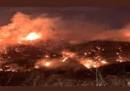 القوات التركية والفصائل الموالية لها تقصف قرية علوك بالحسكة شمال شرق سوريا