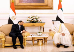 سفير مصر بالامارات : زيارة السيسي تأتي في وقت تشهد فيه المنطقة تحديات