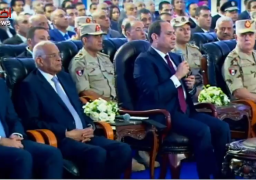 السيسي يوجه بإقامة نظم ميكنة بالمجمعات الصناعية الجديدة