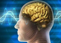 لأول مرة .. علماء يكشفون “فضلات الدماغ” أثناء النوم