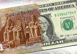 هدوء نسبي للدولار أمام الجنيه خلال التعاملات