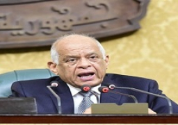 عبدالعال: “البيروقراطية العميقة” تضع العقبات أمام تنفيذ بعض القانونين