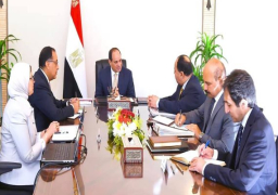 الرئيس عبد الفتاح السيسي يوجه بإطلاق مبادرة لصحة السيدات الحوامل وفقا لأعلى المعايير