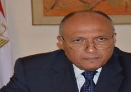 شكرى: حل الأزمة الليبية له تأثير على الاستقرار بإفريقيا والبحر المتوسط