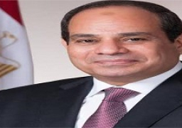 السيسي يؤكد التزام مصر بنجاح برنامج الشراكة مع “يونيدو”