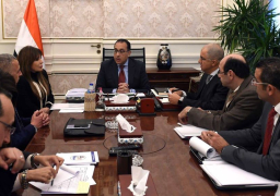 “الحكومة” تستعد لدعم القطاع الخاص لتنفيذ المشروعات في إفريقيا