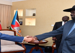 عبد العال ينقل تحيات السيسي لسيلفاكير ..ويؤكد ندعمكم قيادة وشعبا