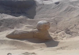 “الآثار” تعثر على تمثال ملكي على هيئة “أبو الهول” في تونا الجبل| صور