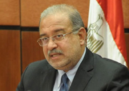 إسماعيل: لجنة الأراضي قدمت كافة أنواع الدعم للإسراع في التقنين