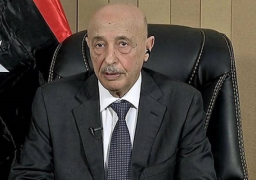 البرلمان الليبي يحذر تركيا من التدخل العسكري في البلاد