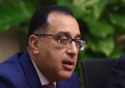 الحكومة تستعرض تقريرا حول المؤتمر الدولي الـ46 لرابطة علماء مصر