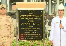 الرئيس السيسى يفتتح عدداً من مشروعات الإنتاج الحيوانى بالبحيرة عبر الفيديو كونفرانس