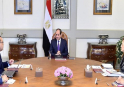 الرئيس السيسي: انتقال الحكومة للعاصمة الإدارية نقلة نوعية في مستقبل العمل الإداري