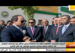 السيسي: الأسعار بدأت تنخفض لكن هناك طبقة من الشعب “تعاني”