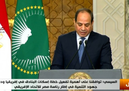 السيسي: توافقنا مع رئيس جنوب افريقيا على الارتقاء بالعلاقات