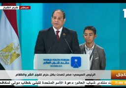 السيسي: مصر وقفت وتصدت لقوى الشر نيابة عن العالم