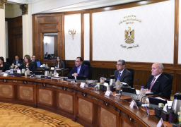 “الوزراء” يوافق علي قرار بشأن تنظيم حالات منح الجنسية المصرية للأجانب