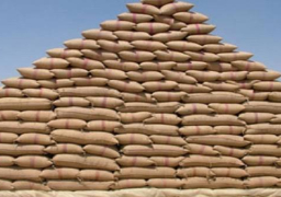 روسيا تخصص 100 ألف طن من الحبوب كمساعدات إلى سوريا