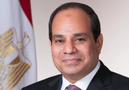 سفير مصر لدى الكويت: الرئيس السيسي يولي اهتماما كبيرا بالقارة الأفريقية