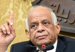 عبد العال يطالب الحكومة بحل مشكلة نقص الأطباء