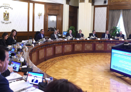 مجلس الوزراء يخصص 238 مليون جنيه لتوفير 100 مليون وجبة مدرسية