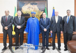 وزير قطاع الأعمال يبحث تعزيز التعاون المشترك مع رئيس الجابون |صور