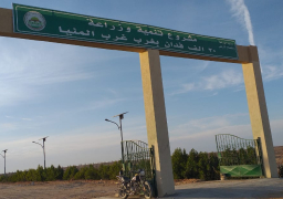 بالصور زراعة 3000 فدان بنجر و 1000 قمح بمشروع غرب المنيا