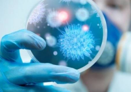 الصحة: رفع درجة الاستعداد القصوى بمنافذ دخول البلاد لمنع تسلل أى فيروسات أو أمراض وبائية