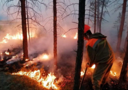 أستراليا: ارتفاع حصيلة ضحايا حرائق الغابات لـ15 شخصا