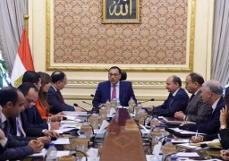 الحكومة توافق على تحديد اختصاصات”الاتصالات” في شأن التطوير المؤسسي