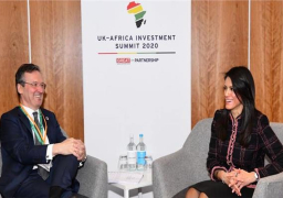 المشاط: نتطلع لزيادة الشراكة مع مؤسسة تمويل التنمية البريطانية