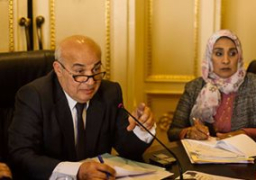 «تشريعية النواب» توافق على شراء 1300 عربة سكة حديد بمليار و16 مليون يورو