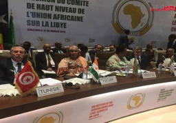 تونس : التدخلات الخارجية وخرق حظر السلاح أدى لانتشارالإرهاب بليبيا