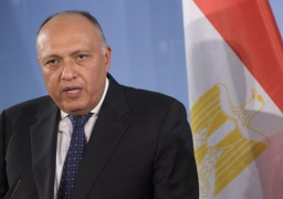 شكري: دول الجوار الليبي أجمعت على رفض التدخلات الأجنبية