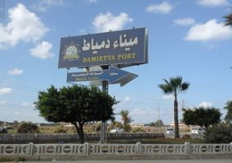 ميناء دمياط يستقبل 7 سفن بضائع عامة وحاويات