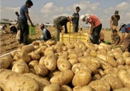 وزير الزراعة يفتتح وحدة متابعة لمشروع مكافحة العفن البني بالبطاطس